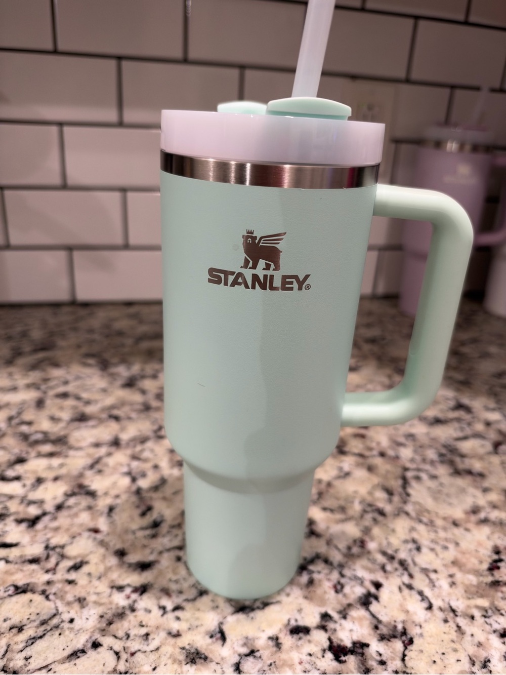 Stanley Mint Green Insulated Tumbler with Handle and Straw